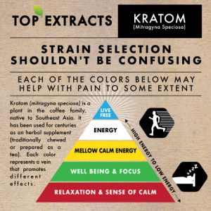 Kratom selection