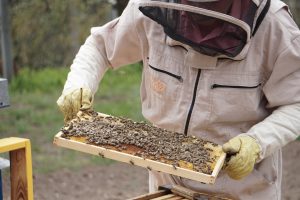 kratom honey 