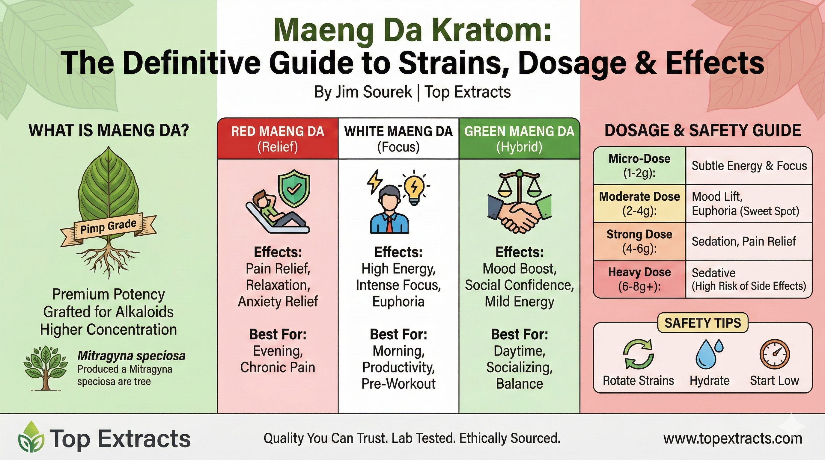 Maeng Da Kratom The Definitive Guide to Strains, Dosage & Effects