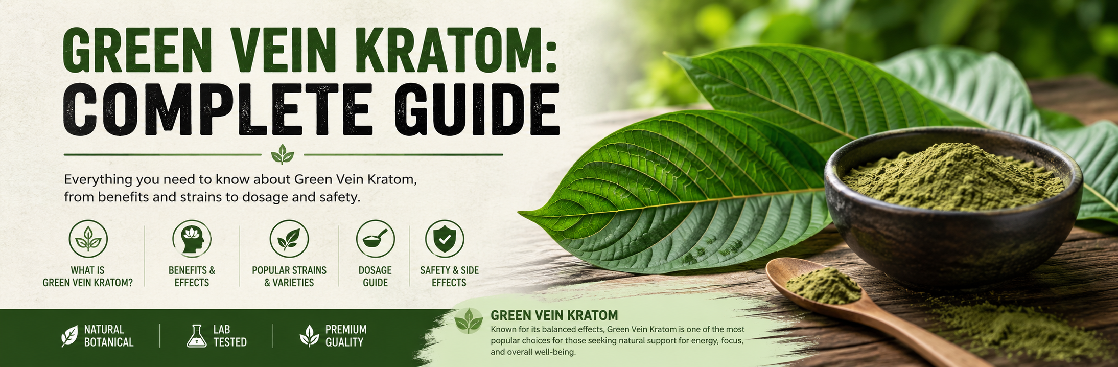 Green Vein Kratom Complete Guide